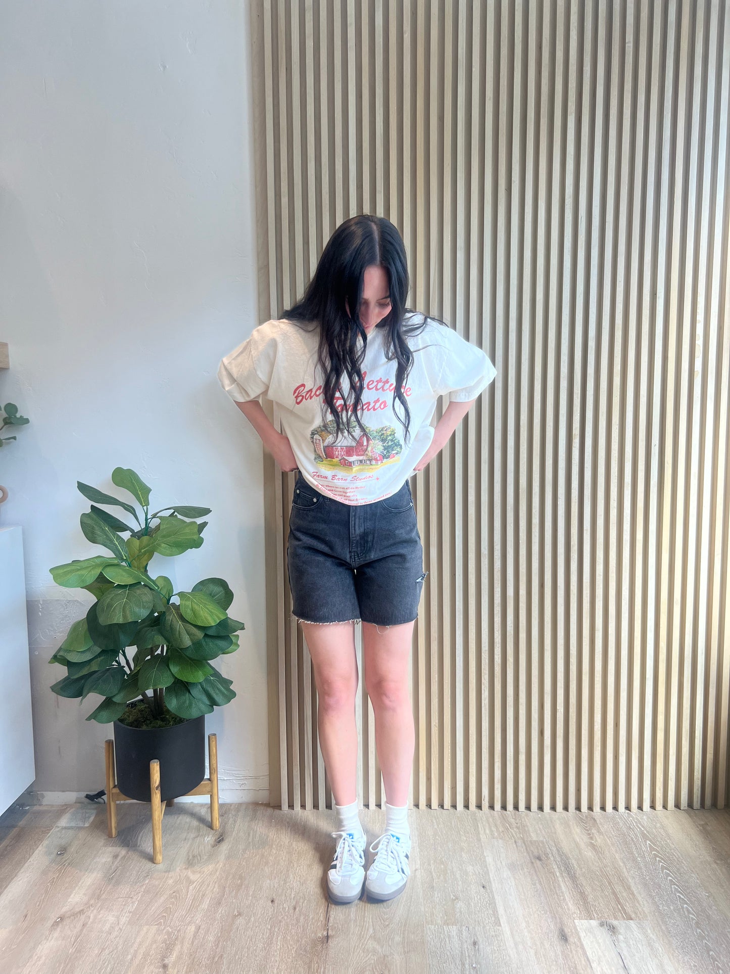 ROCKY MTN - GRAPHIC TEE